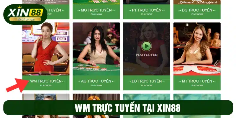 Sảnh cá cược trực tuyến WM 